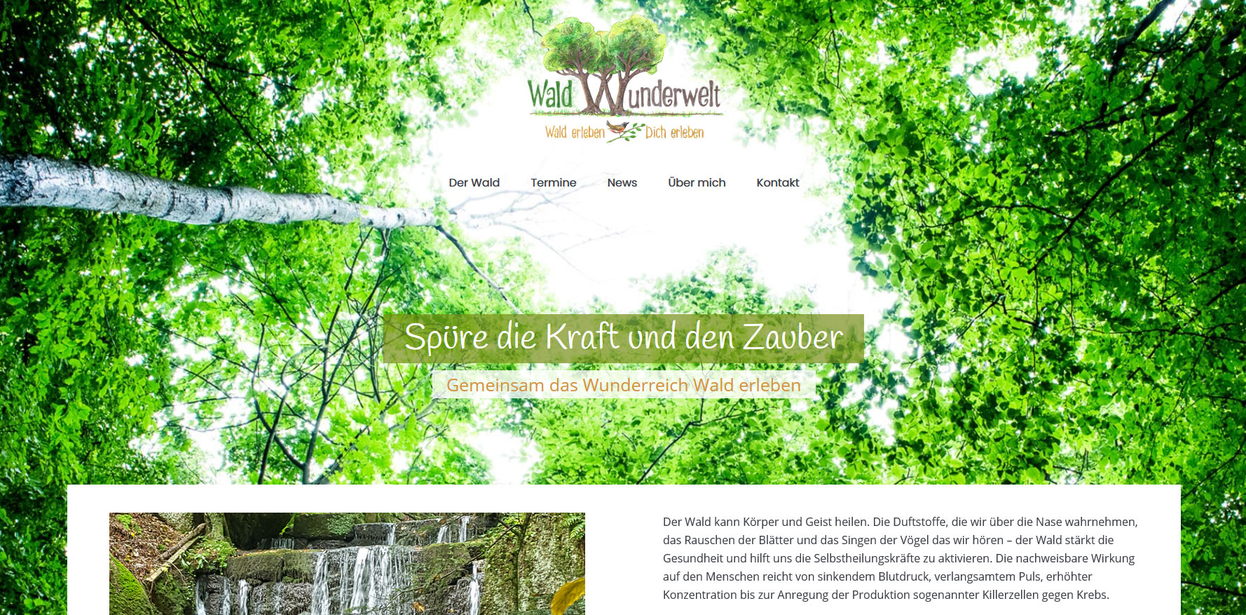 Waldwunderwelt